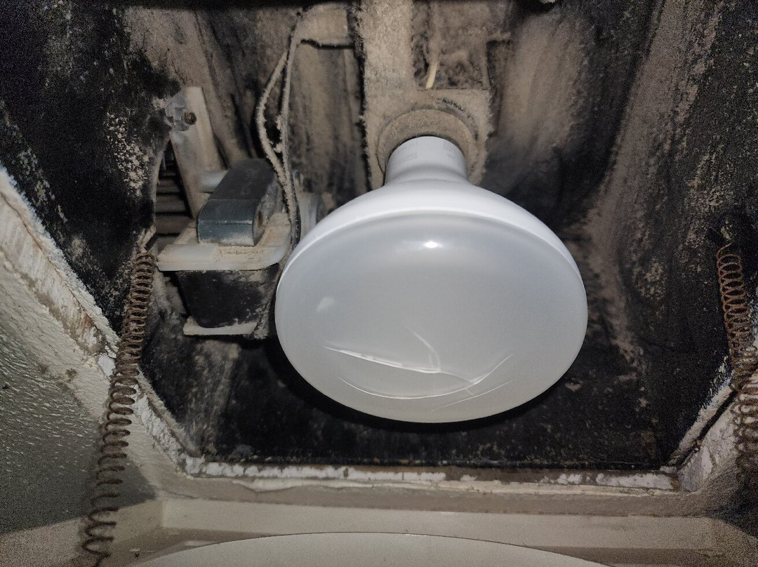 丽思维尔雪松旅馆主图