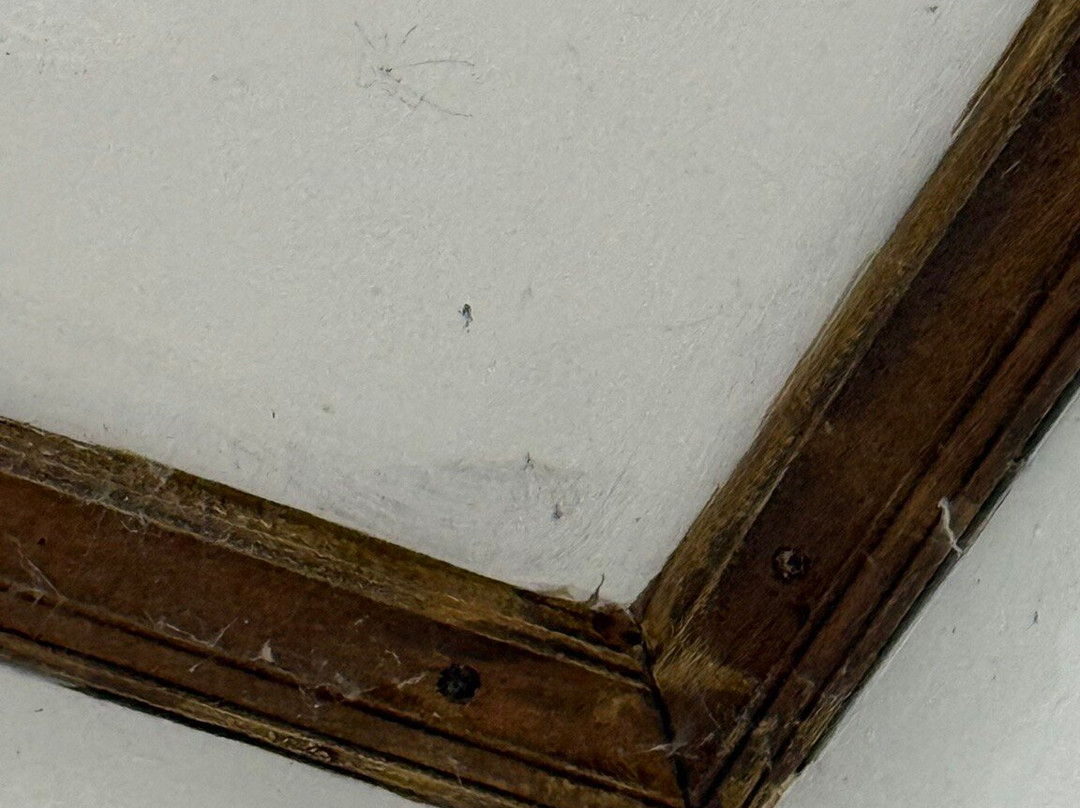 Sunrise Guesthouse主图