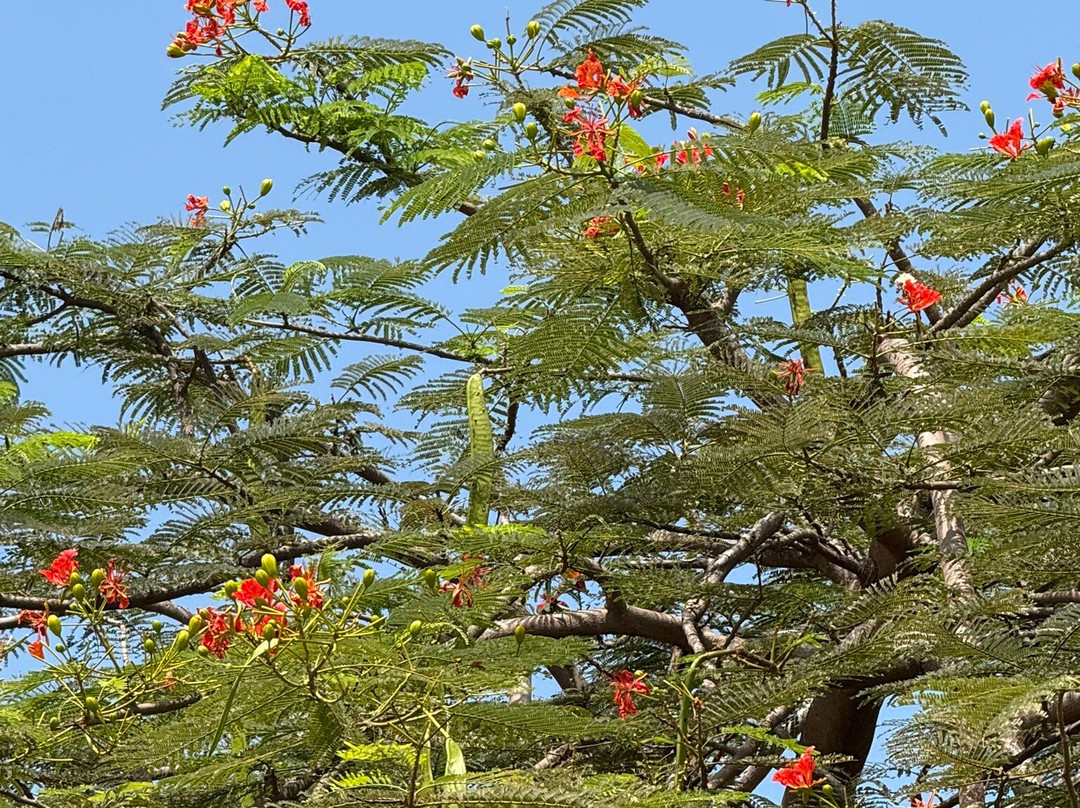 Loshe's Surf Cape Three Points-Cape Three Points必去景点