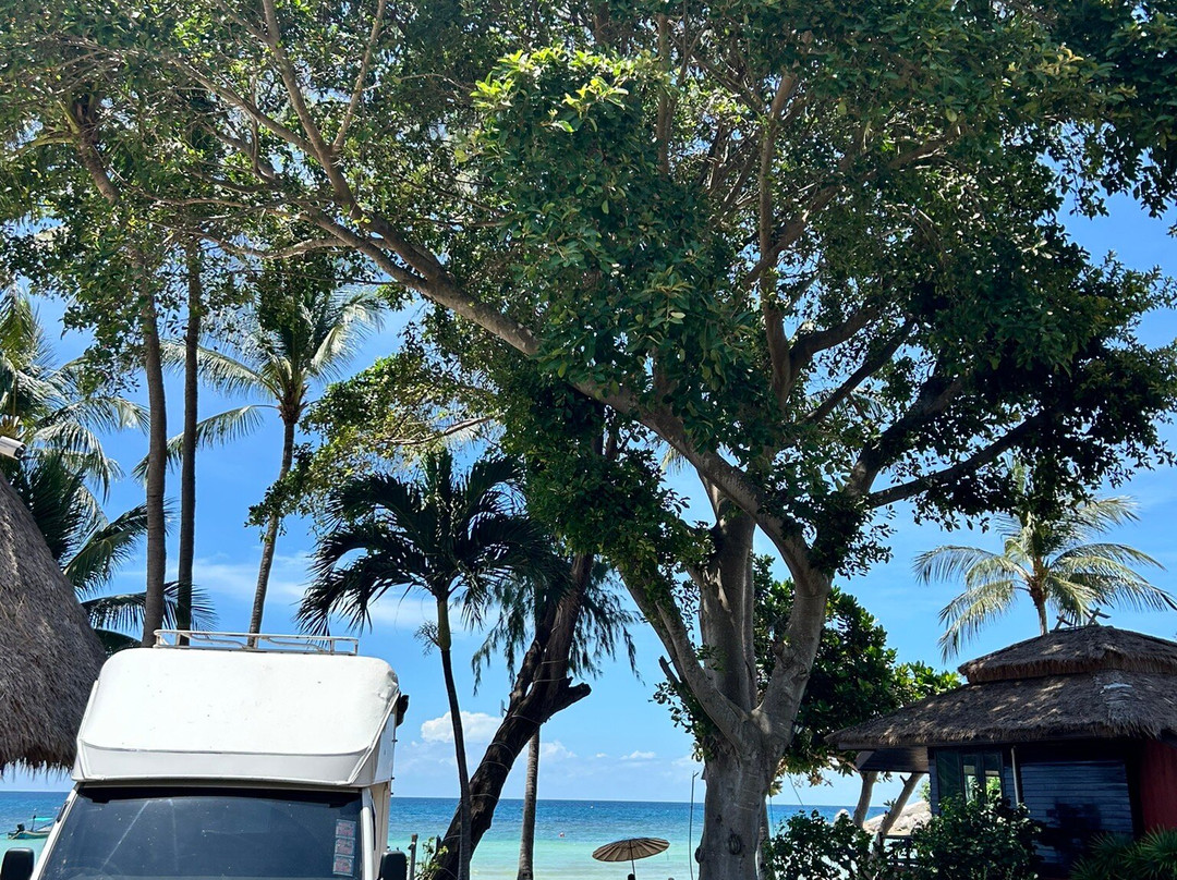 Palm Leaf Resort主图