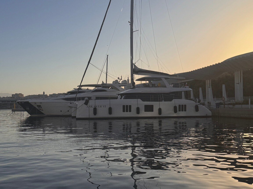 Palmeral de las Sorpresas-马拉加必去景点