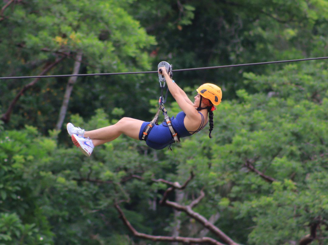 Canopy Eco Orbit-Cabo Corrientes必去景点