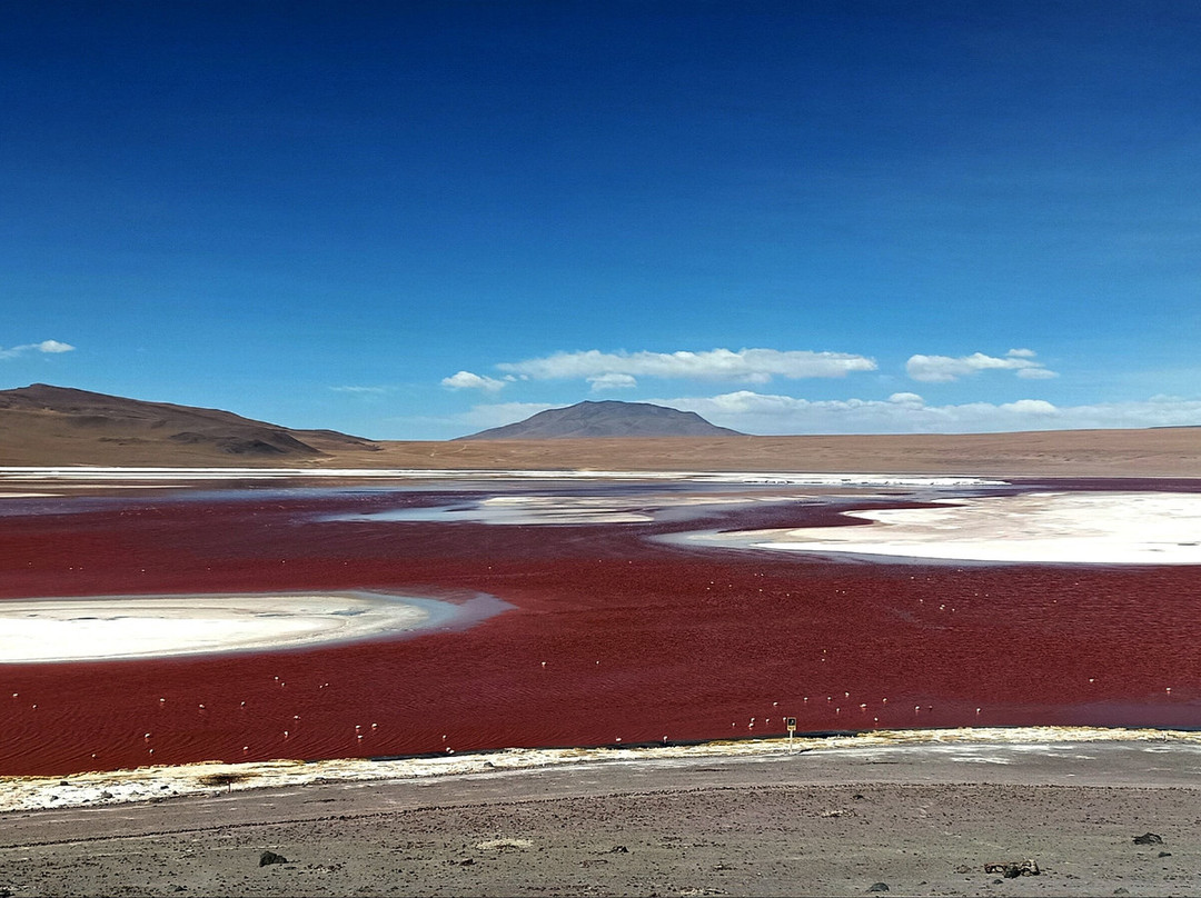 Banjo Tours-拉巴斯必去景点