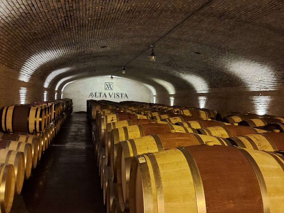 Bodega Alta Vista-路冉得库约必去景点