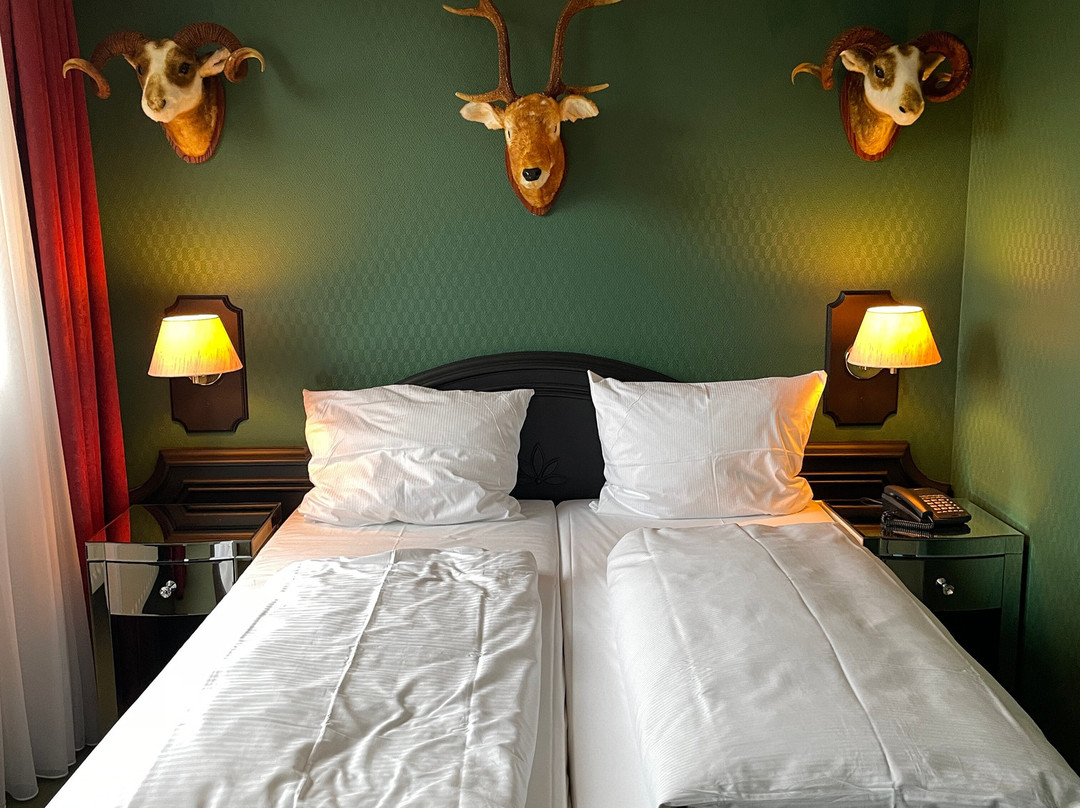 多瑙艾辛根温德姆花园酒店主图