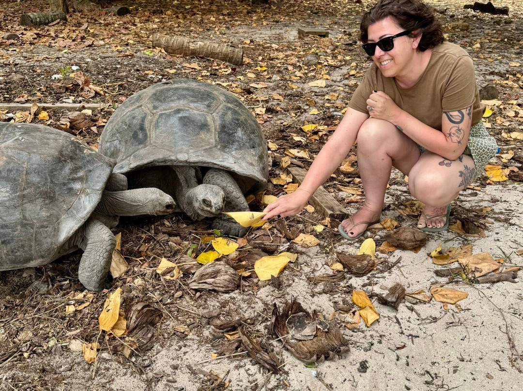 Ziblo Boat Charter-普拉兰岛必去景点