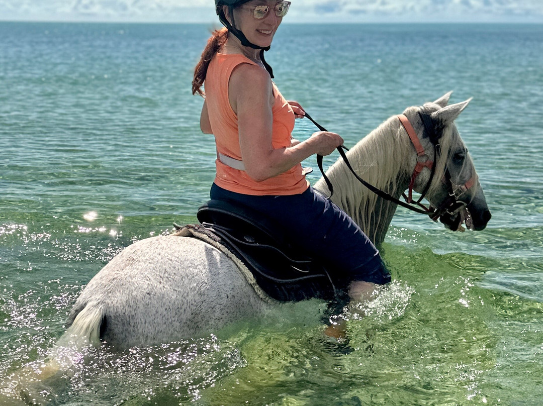 Provo Ponies-Long Bay Hills必去景点