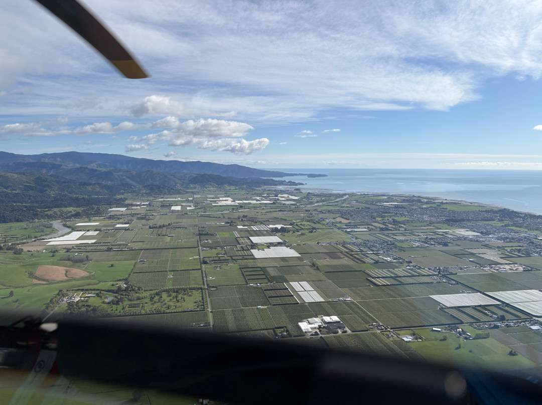 切尔西尼尔森汽车旅馆主图