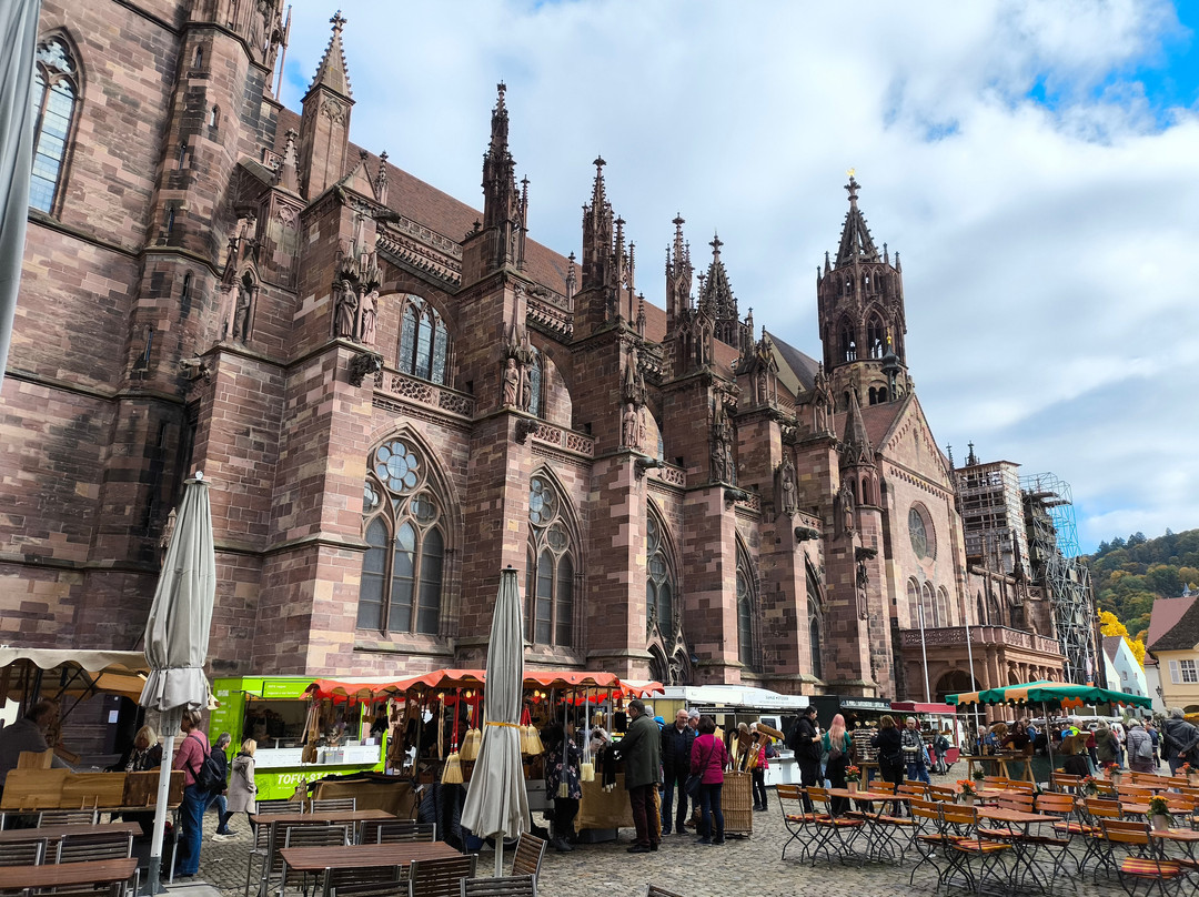 Münsterplatz-佛莱堡必去景点