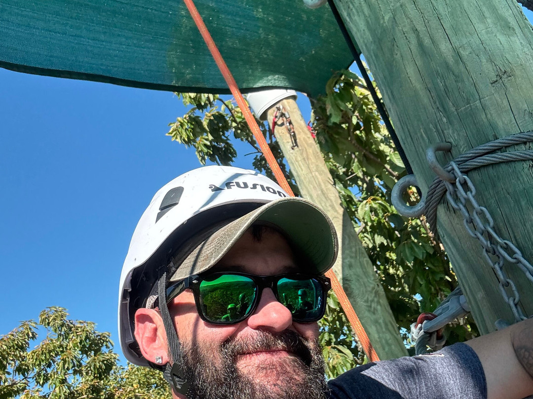 Smoky Mountain Ziplines-皮金福奇必去景点