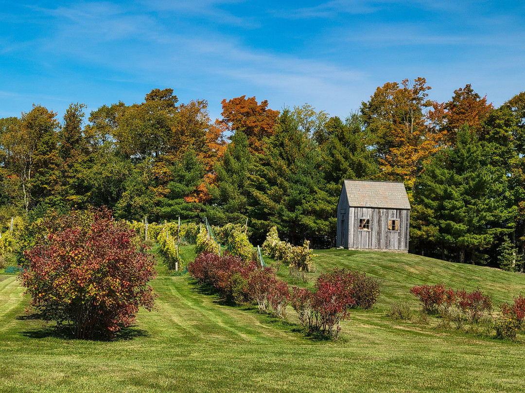 Golden Dog Farm-Jeffersonville必去景点