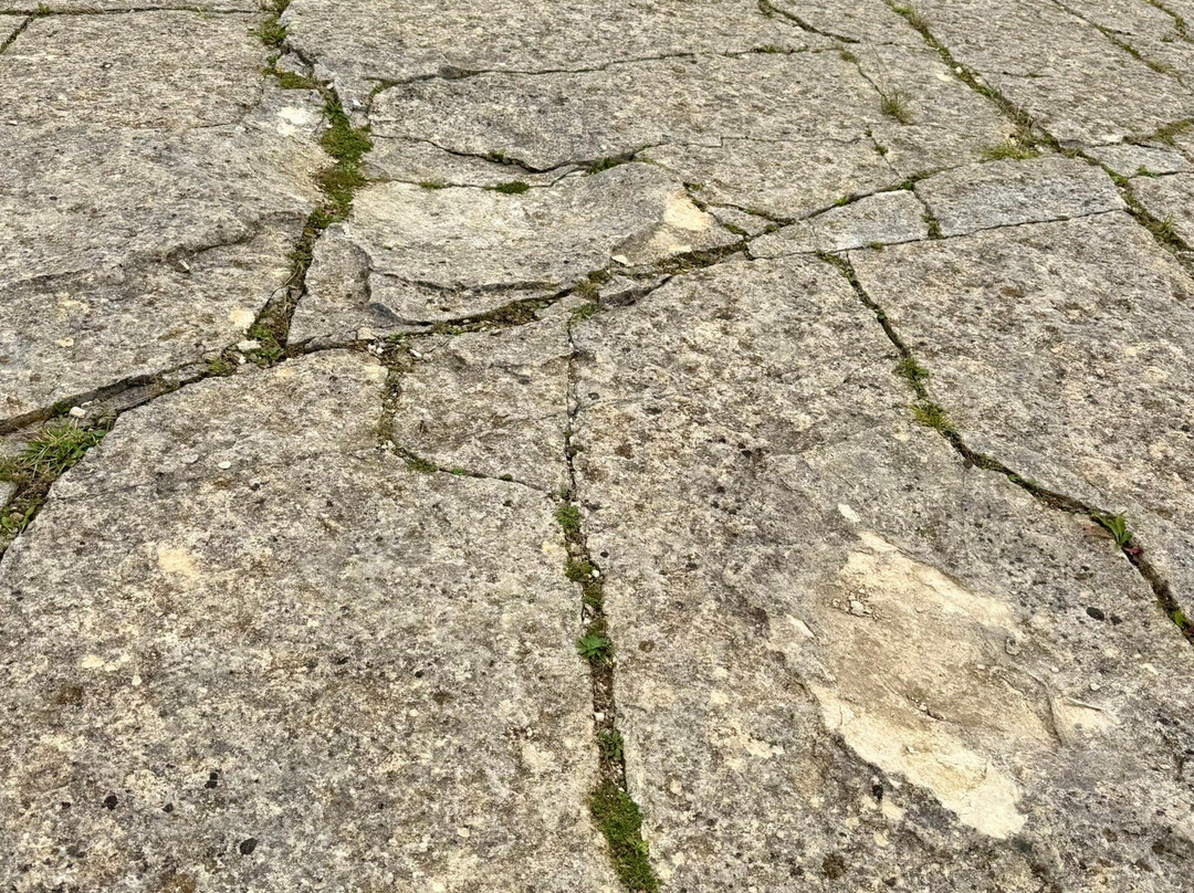Keates Quarry Dinosaur Footprints-Langton Matravers必去景点