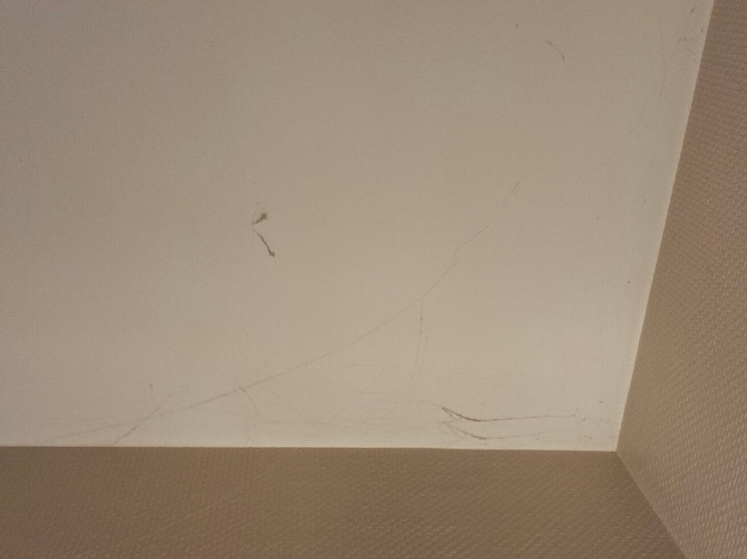 雷蒙特勒酒店主图