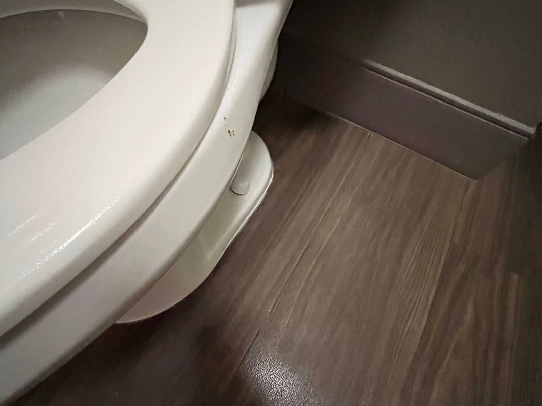 La Quinta Inn & Suites by Wyndham Portland主图