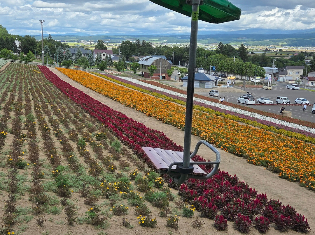Nakafurano Flower Park-中富良野町必去景点