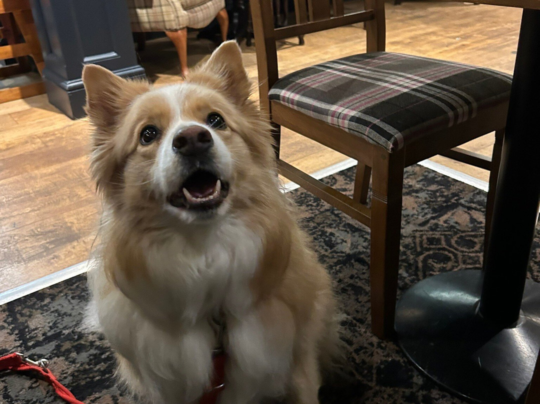 列王之首旅店 - 旅店精选集团主图