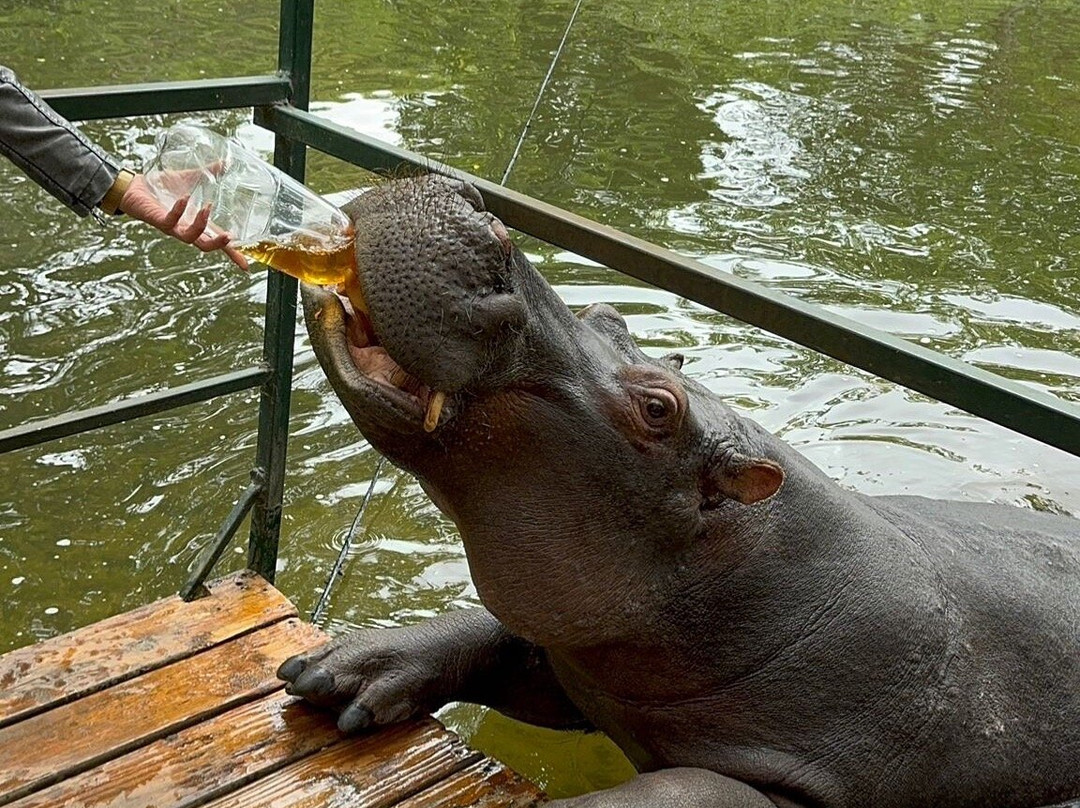 Hippo Jessica-霍德斯普鲁特必去景点