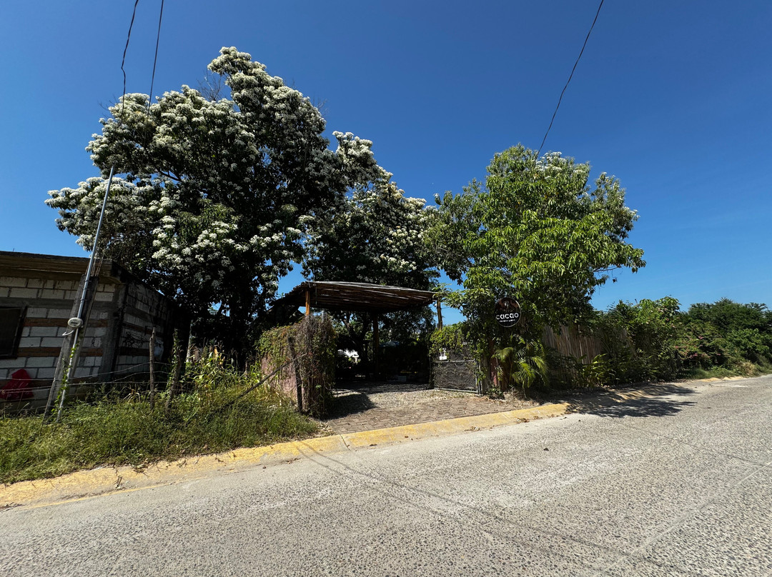 Planeta Cacao-Bahia de Banderas Municipality必去景点