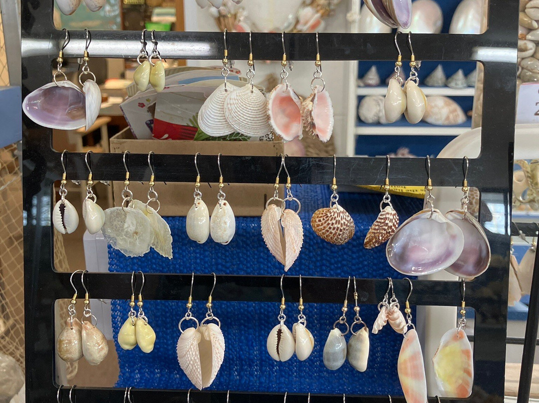 Shell World Yeppoon-Yeppoon必去景点