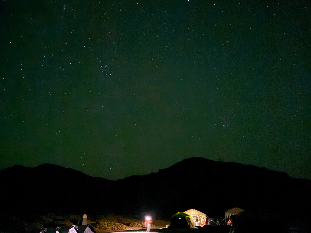 Shark Encounters Mexico-拉巴斯必去景点