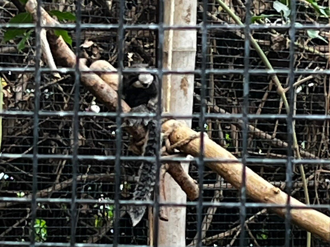 Plantasia Tropical Zoo-斯温西必去景点