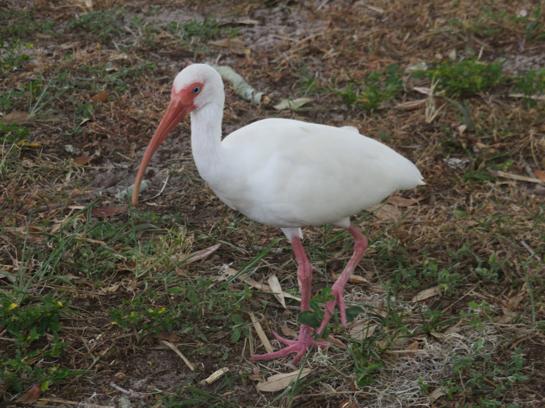 Lake Wailes Park-莱克威尔士必去景点