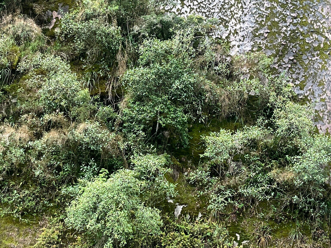 Plaza Manco Capac-温泉镇必去景点