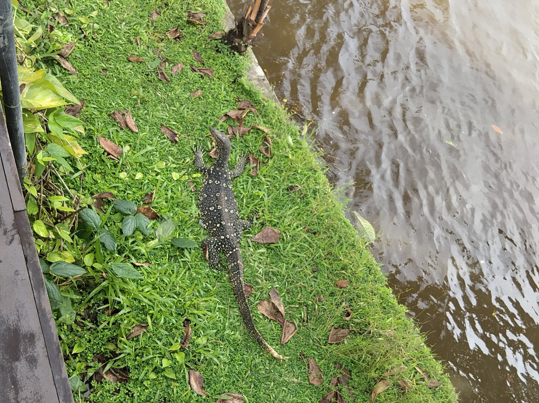 Ama  Lanka Tours-Minuwangoda必去景点