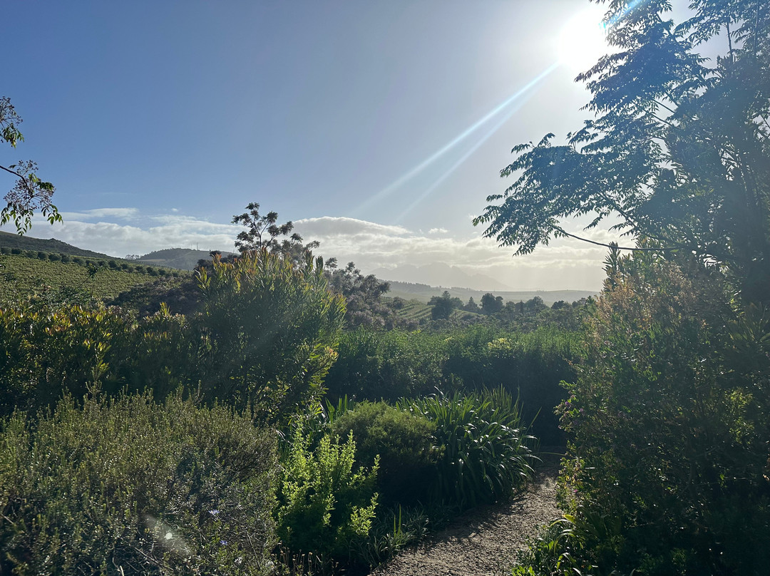 Jordan Luxury Suites主图