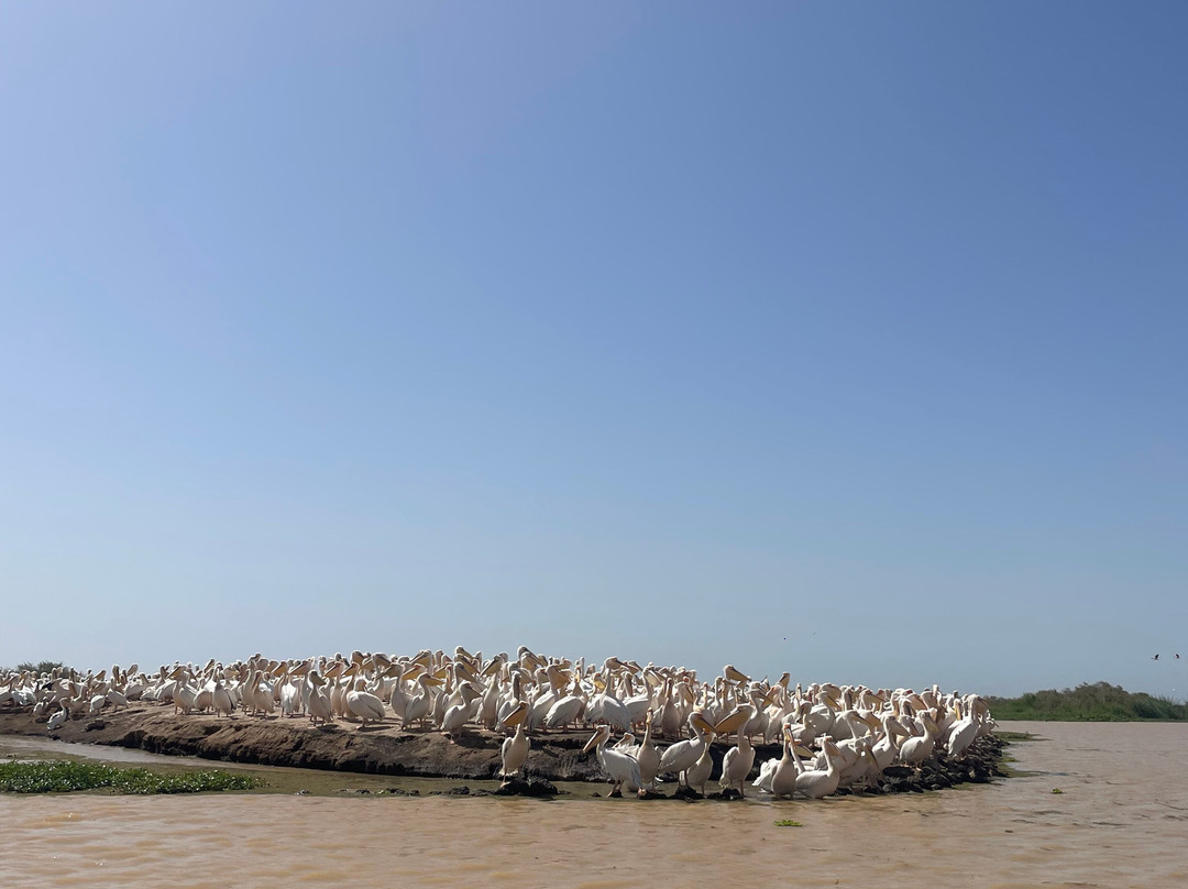 朱吉鸟类保护区-圣路易必去景点