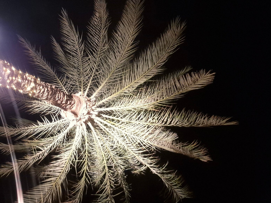 Signor Sassi El Gouna