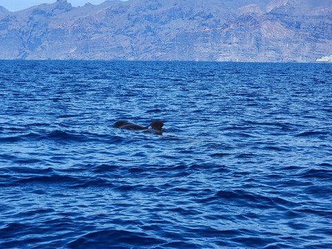 Los Rapidos-洛斯·吉甘特斯必去景点