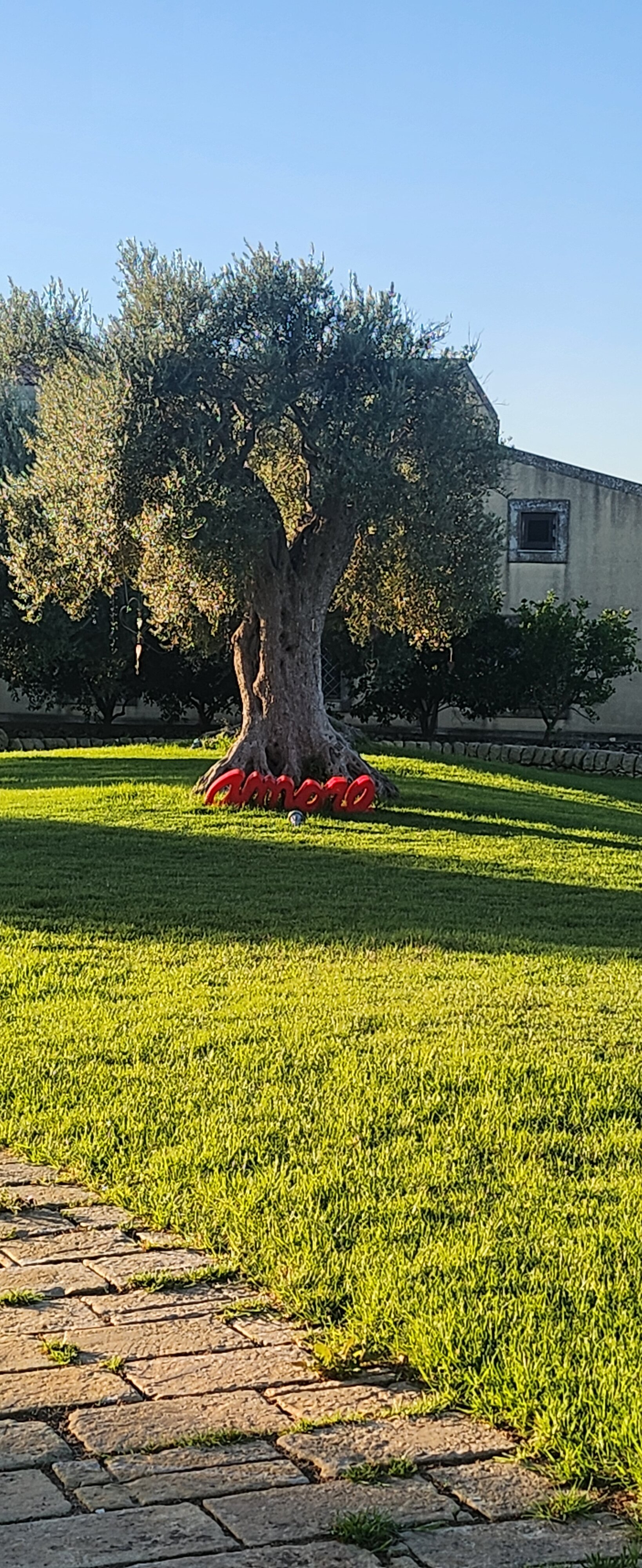拉科尔特德索雷酒店-官方