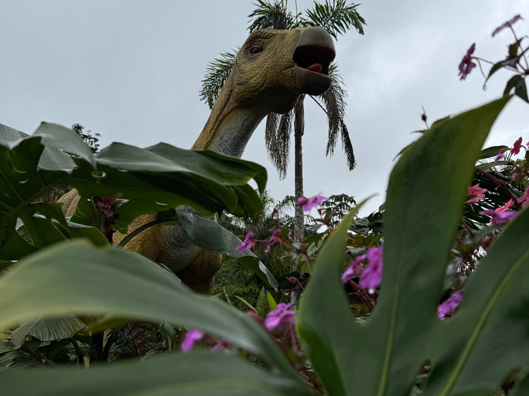 Catarata Río Agrio-Bajos del Toro必去景点