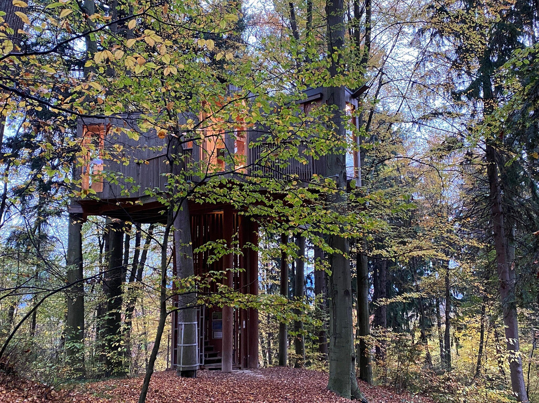 City Forrest Tree House-Celje必去景点
