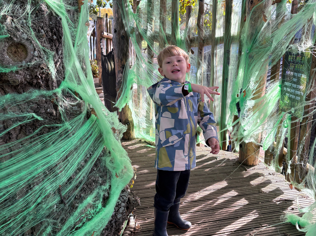 Wroxham Barns-Hoveton必去景点