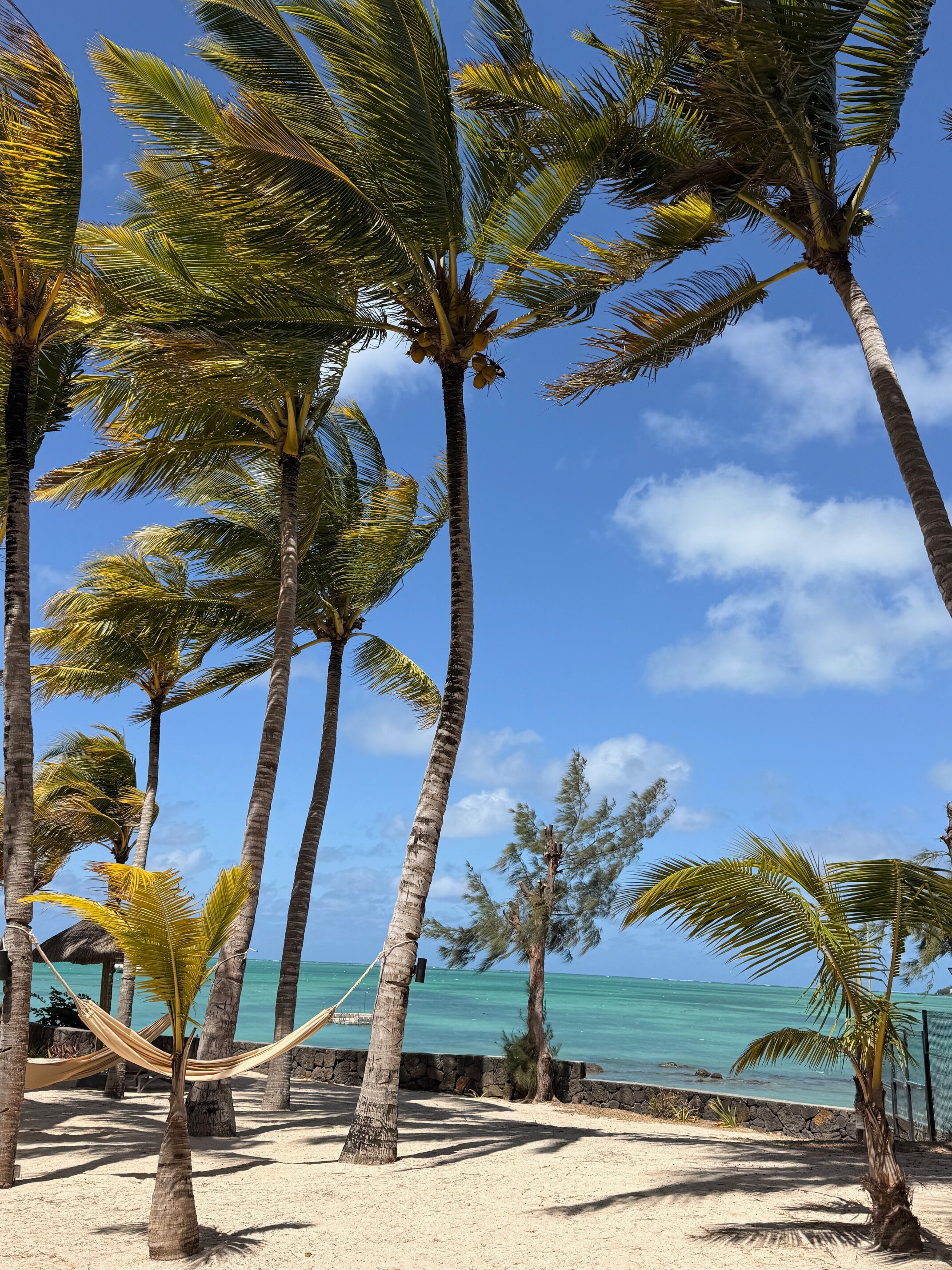 态度深蓝浅蓝-泳池