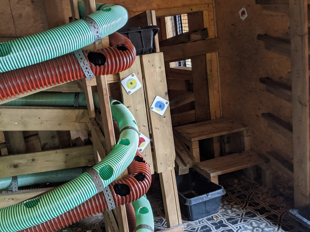 Familiepark De Sierk-德韩必去景点