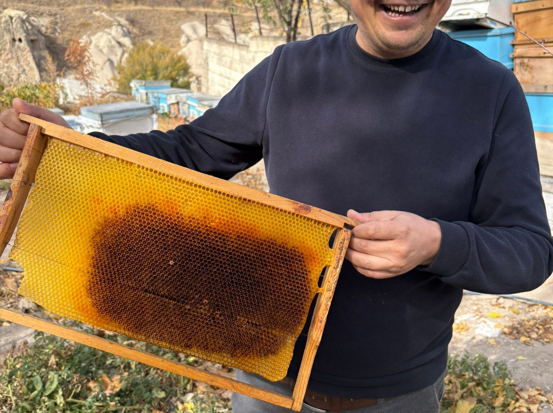 Cappadocia Home Cooking-艾瓦勒必去景点