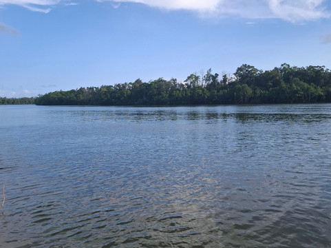 Uncle Brian's Tours-凯恩斯必去景点