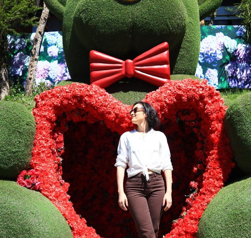 Hortênsias Garden-格拉玛多必去景点