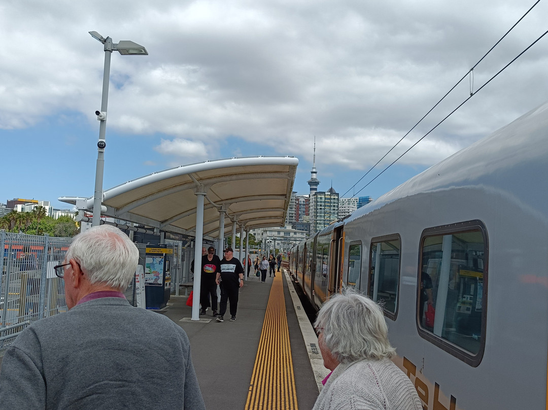 Te Huia Train-汉密尔顿必去景点