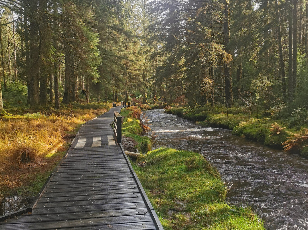 Hafren Forest-Llanidloes必去景点
