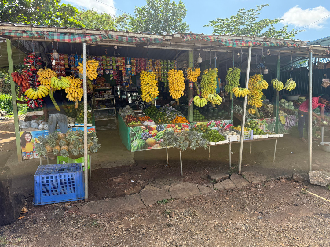 Travelling Pearl Lanka-尼甘布必去景点