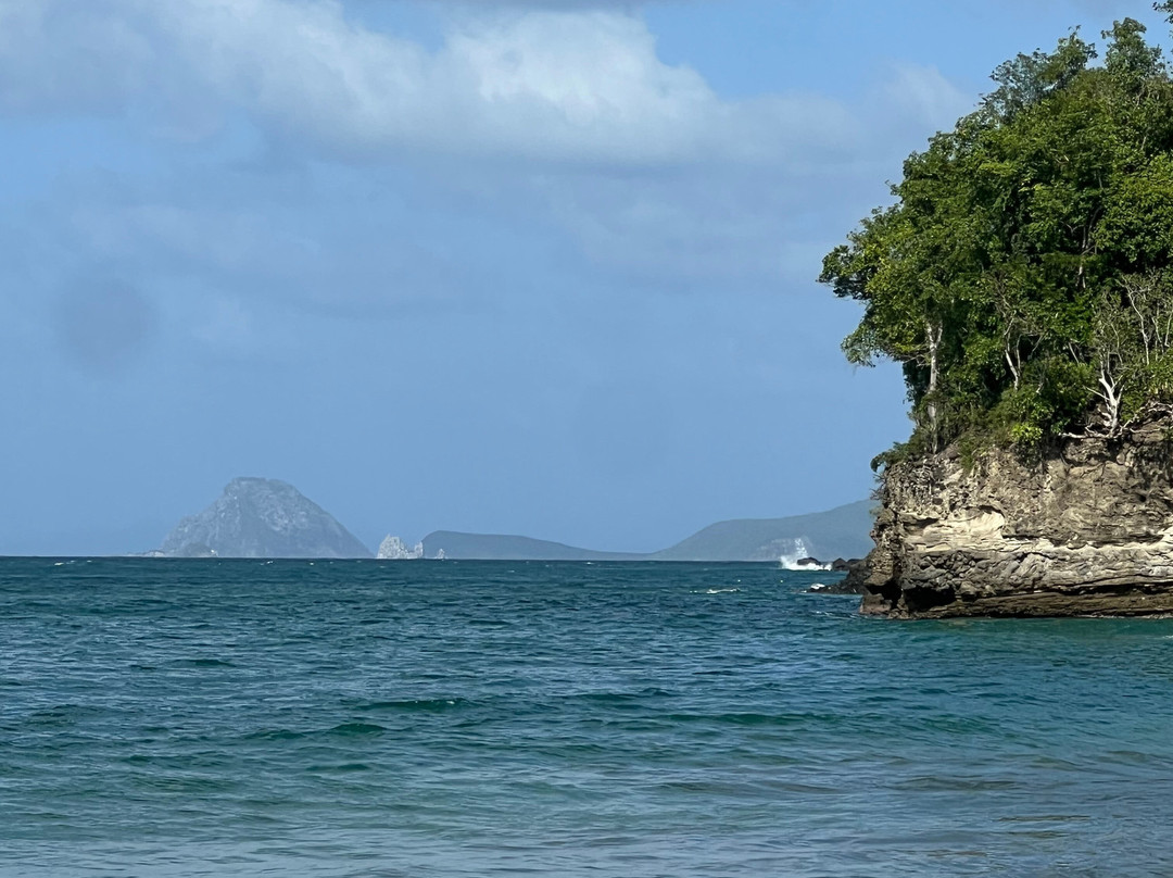 Nature Lovers Tours-Victoria必去景点