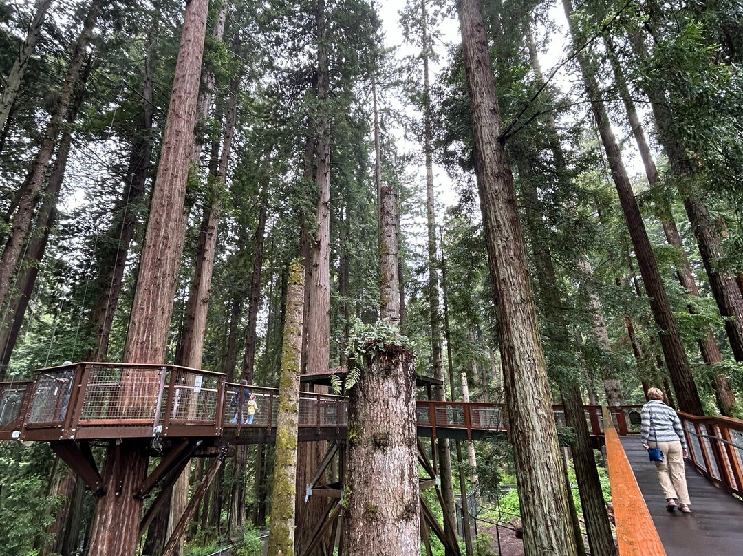 Sequoia Park Garden-尤里卡必去景点