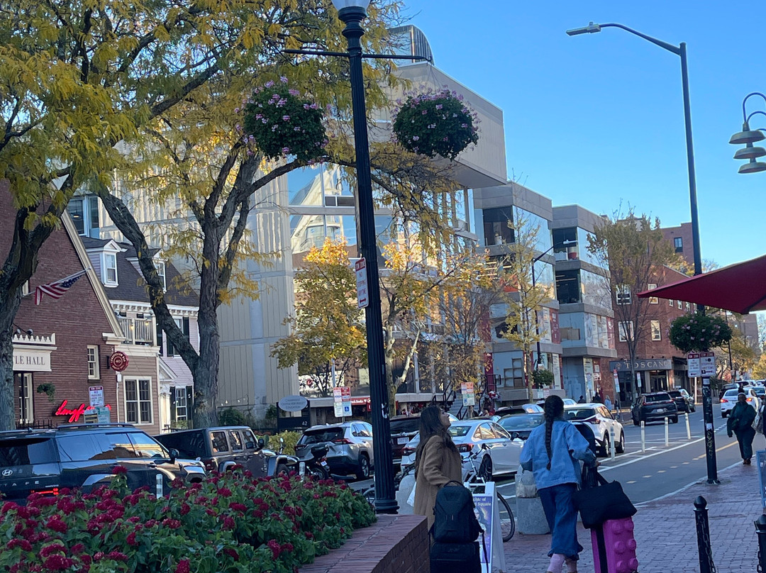 哈佛广场-剑桥必去景点