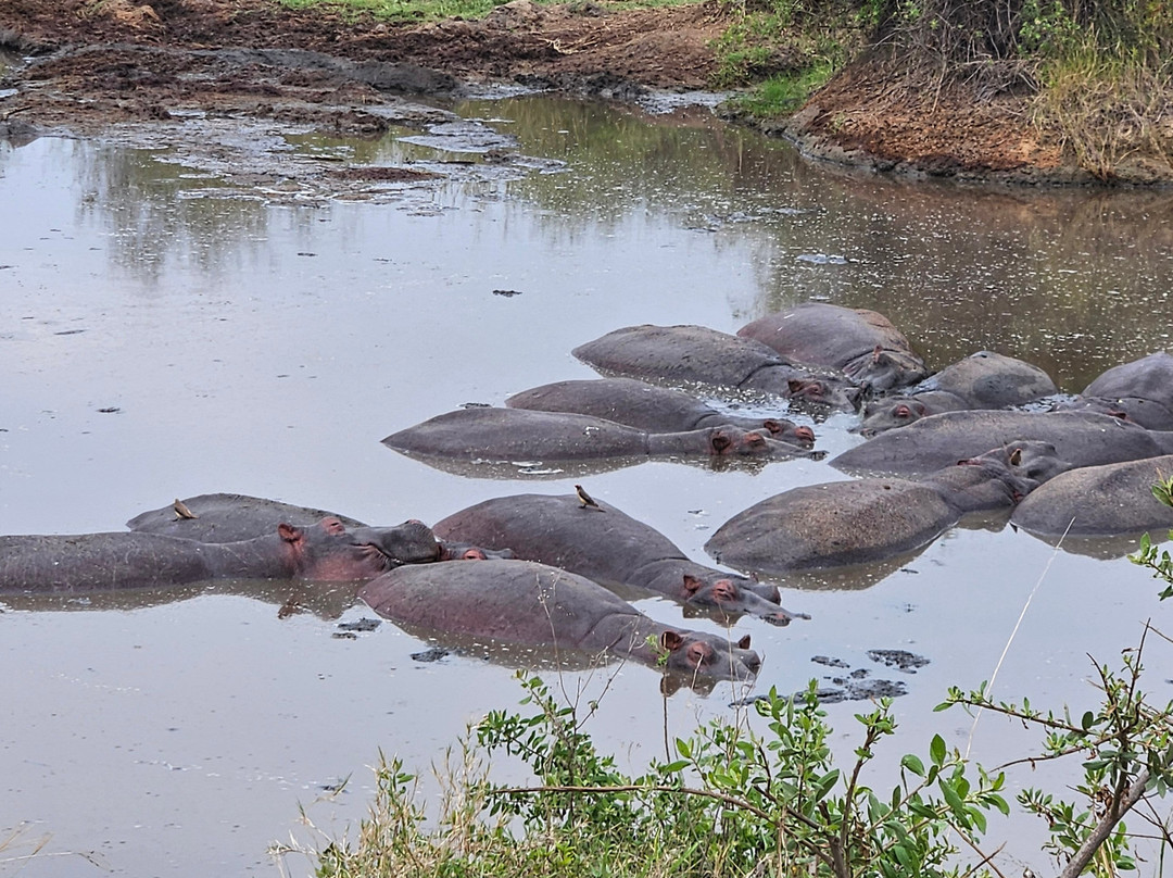 FB Tanzania Expeditions-阿鲁沙必去景点