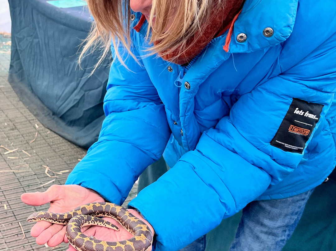 Holmes Chapel Zoo-Holmes Chapel必去景点