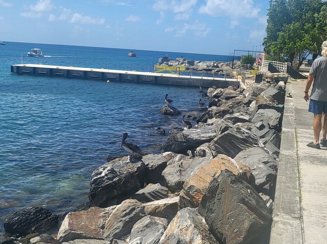 Frederiksted Pier-Frederiksted必去景点